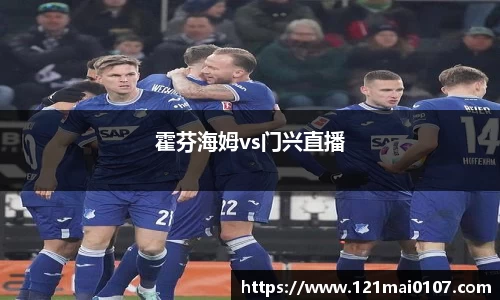 霍芬海姆vs门兴直播