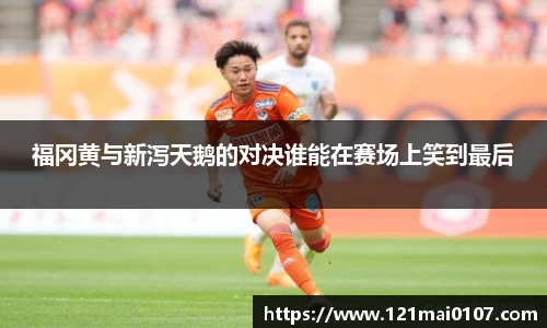 福冈黄与新泻天鹅的对决谁能在赛场上笑到最后